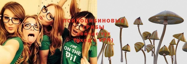 MDMA Белокуриха