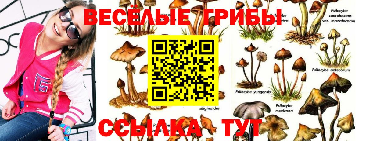 Псилоцибиновые грибы GOLDEN TEACHER  Вход с VPN  Надым 